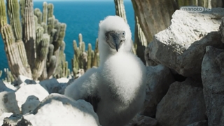 سیاره سبز ؛ 2022 ؛ فصل 1 ؛ پشت صحنه قسمت 4