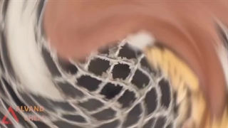 تولید نشادر ایرانی از خلوص 99.5 تا 99.9