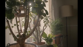 Marcel the Shell with Shoes On - Official Trailer