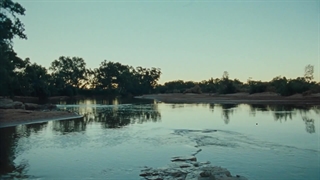 Dipped in Black (Marungka tjalatjunu)  Trailer  2023