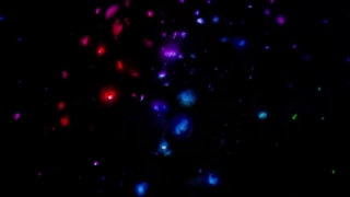 Moonage Daydream Trailer