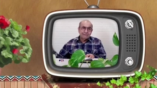 پیشگیری زخم بستر ❤️ درمان دیابت 