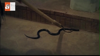 دانلود سریال جلال الدین خوارزمشاه قسمت 5 دوبله فارسی " شیر صحرا "