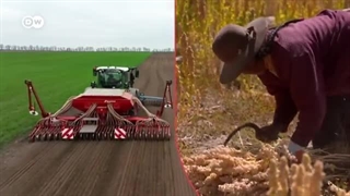 وثائقی | مستقبل الغذاء فی خطر -  کیف سنؤمن احتیاجاتنا من الغذاء فی المستقبل؟ | وثائقیة دی دبلیو