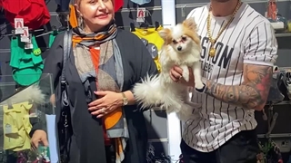 رضایت مشتری از خرید توله سگ پامرانین