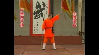 فرم چوب بلند شائولین لوهان چوان