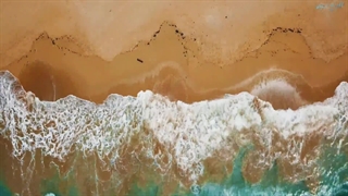 سورة آل عمران آیات ۳۱ الی ۶۰ با تلاوت زیبای هشام العربی