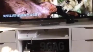 بیاید بحرفیم ناحابر چکار می کنید