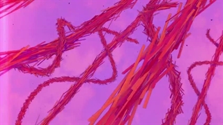 انیمه سینمایی(سلام دنیا)Hello World با زیرنویس فارسی