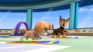 سگهای نگهبان۳