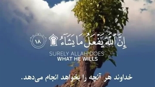 آیاتی از سوره حج