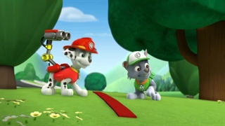 سگهای نگهبان۱۱