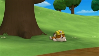 سگهای نگهبان۴۰