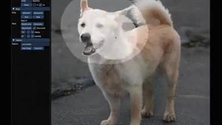 هوش عکس مصنوعی