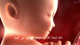 سورة الملک آیات ۲۳ الی ۳۰ با تلاوت زیبا سید هاشمی