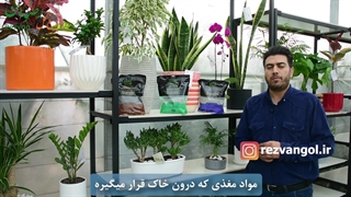 مواد مغذی خاک