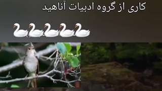 پرنده عاشق شد...  نویسنده: شبنم حکیم هاشمی، خوانشگر: سما راد...  کاری از گروه ادبیات آناهید