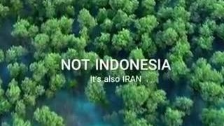 وطن پاکسازی پوست