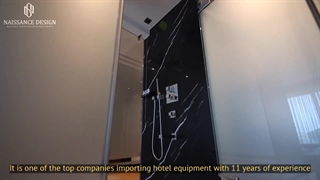 شرکت بین المللی نیسانس دیزاین (میلاد لوتوس خاورمیانه)