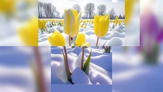 اهنگ من قدم قدم کل این شهرو باتو چرخیدم