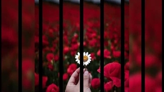 منتظر نباش بگم ک دل من تنگ نگات بود