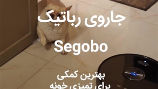 جارورباتیک سگوبو بهترین کمکی برای تمییزی خونه