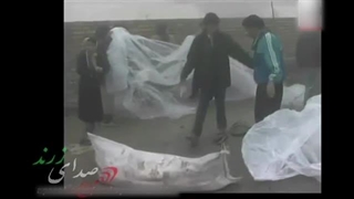 زلزله زرند کرمان 1383 - قسمت اول