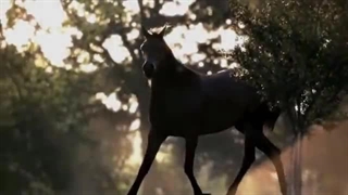 Al Bano & Romina Power - Liberta