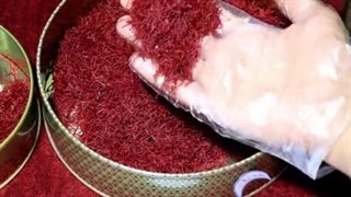 قیمت امروز زعفران کیلویی، خرید کیلویی | زعفرانیک
