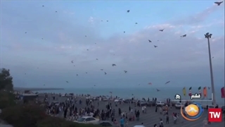 جشن خانوادگی پرواز بادبادک‌ها در قشم+ فیلم