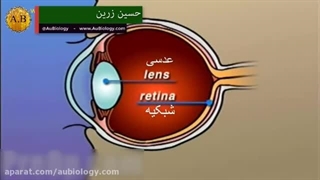 ۱۶.۱۷.۱۹دوربینی،نزدیک بینی،آستیگماتیسم