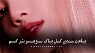 هوش مصنوعی لیسا و کوکی