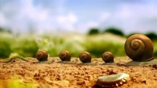 انیمیشن بامزه نمایش زندگی حشرات