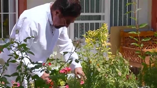 مستند کوتاه آقای نماینده