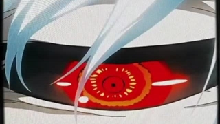 با این ویدیو آرامش بگیر!