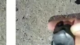 کوره زغال کاملا بدون دود جی پلاس پاسارگادر