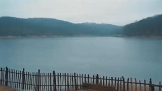 بادکنک مشکی تعیین جنسیت ۱۸ اینچ