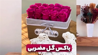 باکس گل رز مضربی | علی ولی