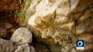 زیبایی میزدج