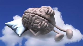 افزایش قدرت تمرکز مغز و حافظه با این 6 روش عالی