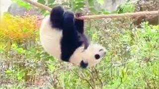 طنزجو: کانال شوخی و سرگرمی _ Joke _ Entertainment _ Recreation _ Laugh _ Smile _ کلیپ شماره :1