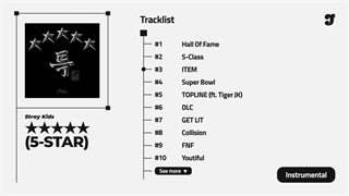 آهنگ Item از Stray Kids ورژن بیکلام