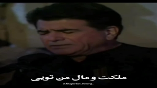 بی تو بسر نمی شود...