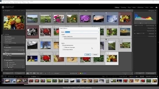 آموزش لایت روم از صفر تا صد [درس 28] - گالری عکس برای سایت