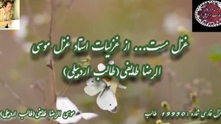 غزلیات فارسی طالب اردبیلی| تند خوانی غزل مست | صدای شاعر