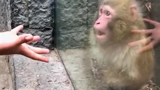 طنزجو: کانال شوخی و سرگرمی _ Joke _ Entertainment _ Recreation _ Laugh _ Smile _ کلیپ شماره :12