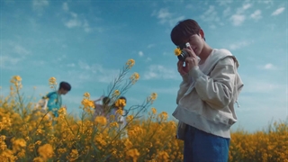 موزیک ویدیو FIREWORK از TEAM&