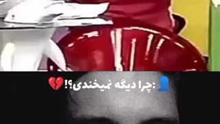 کبوتر بچه …کرده