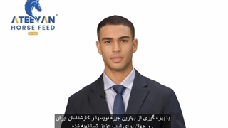 خوراک اسب آتیین  هوش مصنوعی