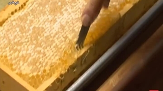 بسته بندی عسل: {عسل ناب ارگانیک}